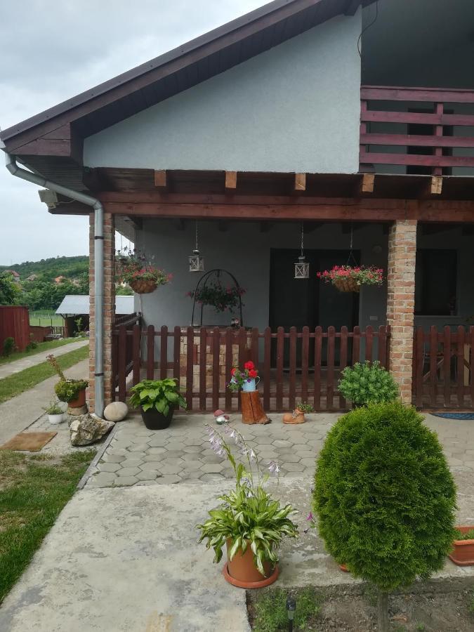 Casa Ricciotti Villa Tritenii de Jos Bagian luar foto
