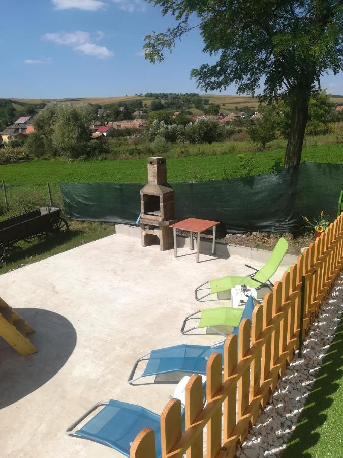 Casa Ricciotti Villa Tritenii de Jos Bagian luar foto